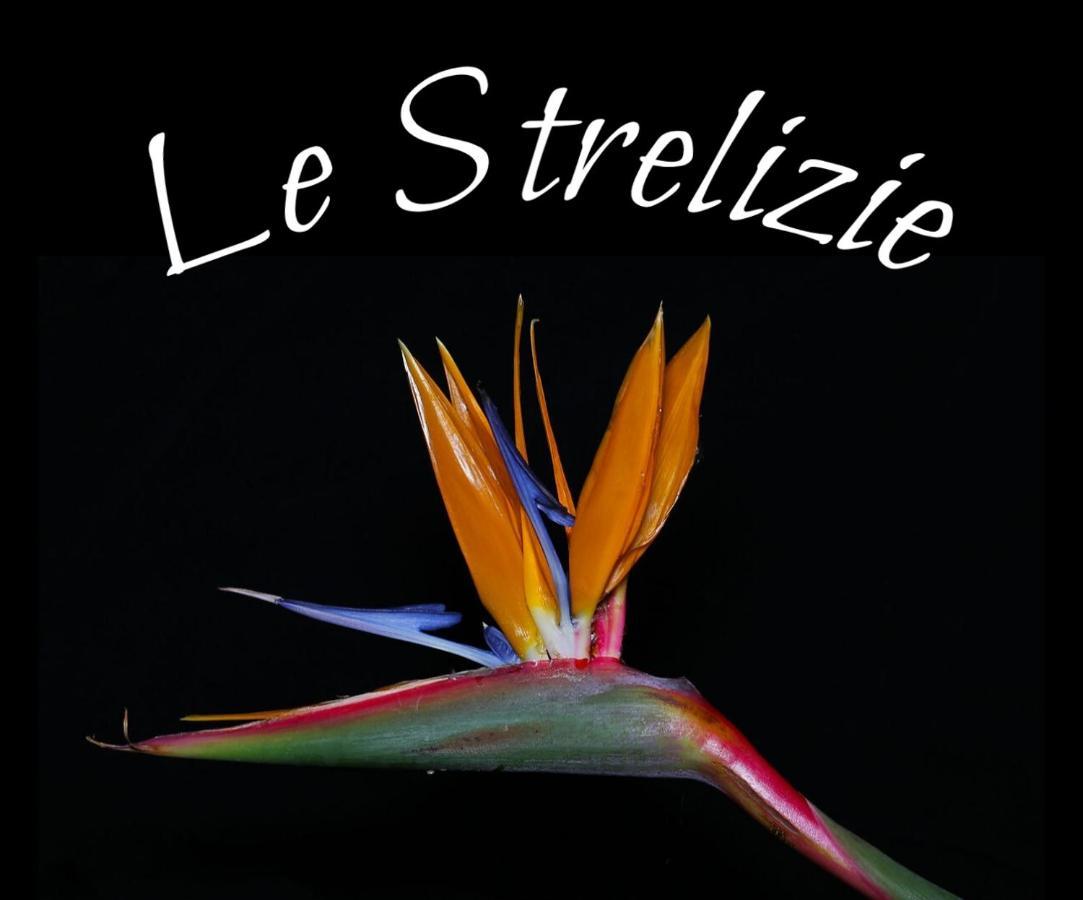 Le Strelizie Apartment Arnesano Exterior foto